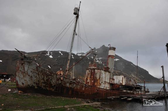 Um antigo baleeiro encalhado em Grytviken, na Geórgia do Sul